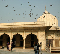 Delhi